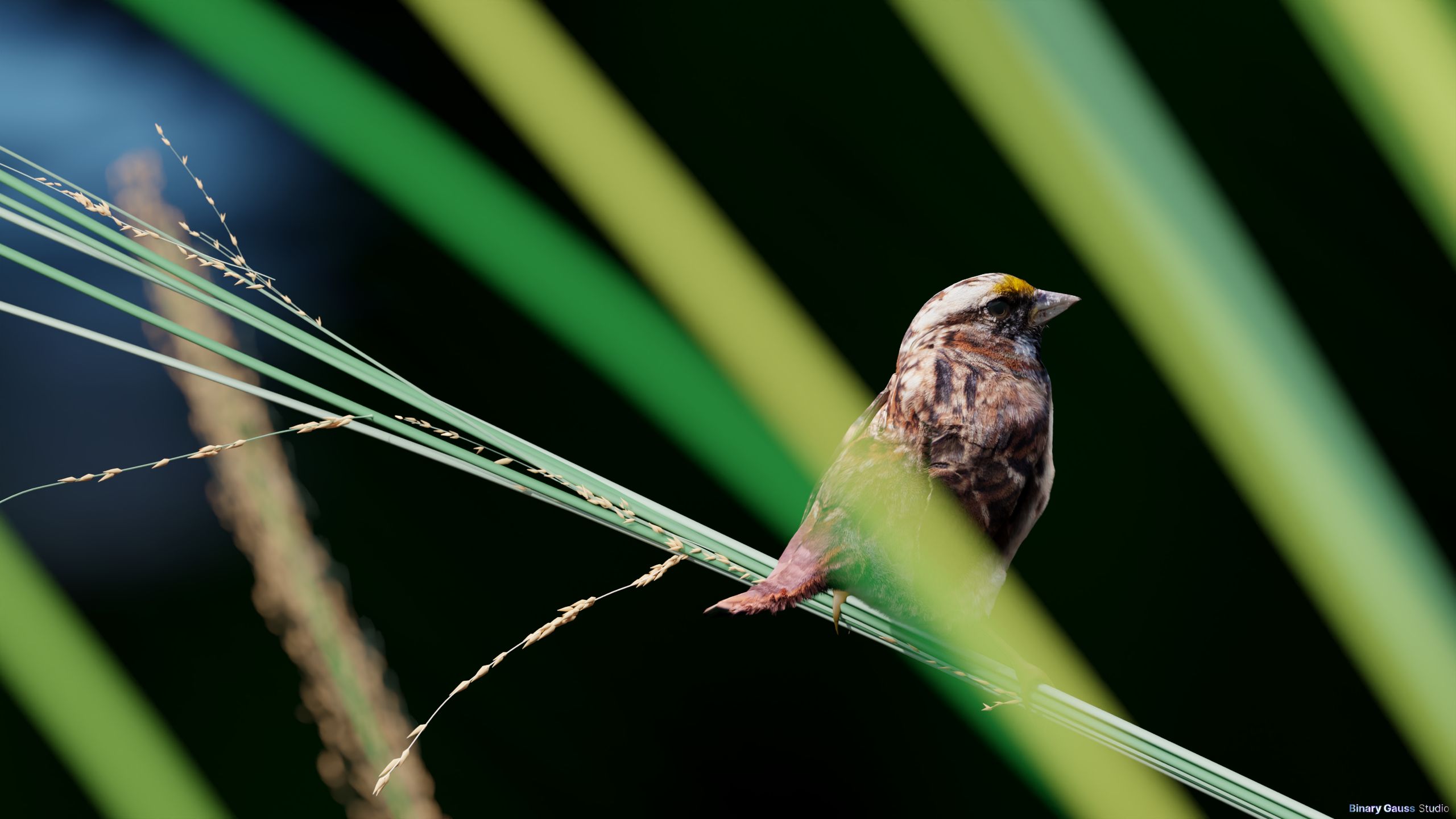 blend-sparrow4.png